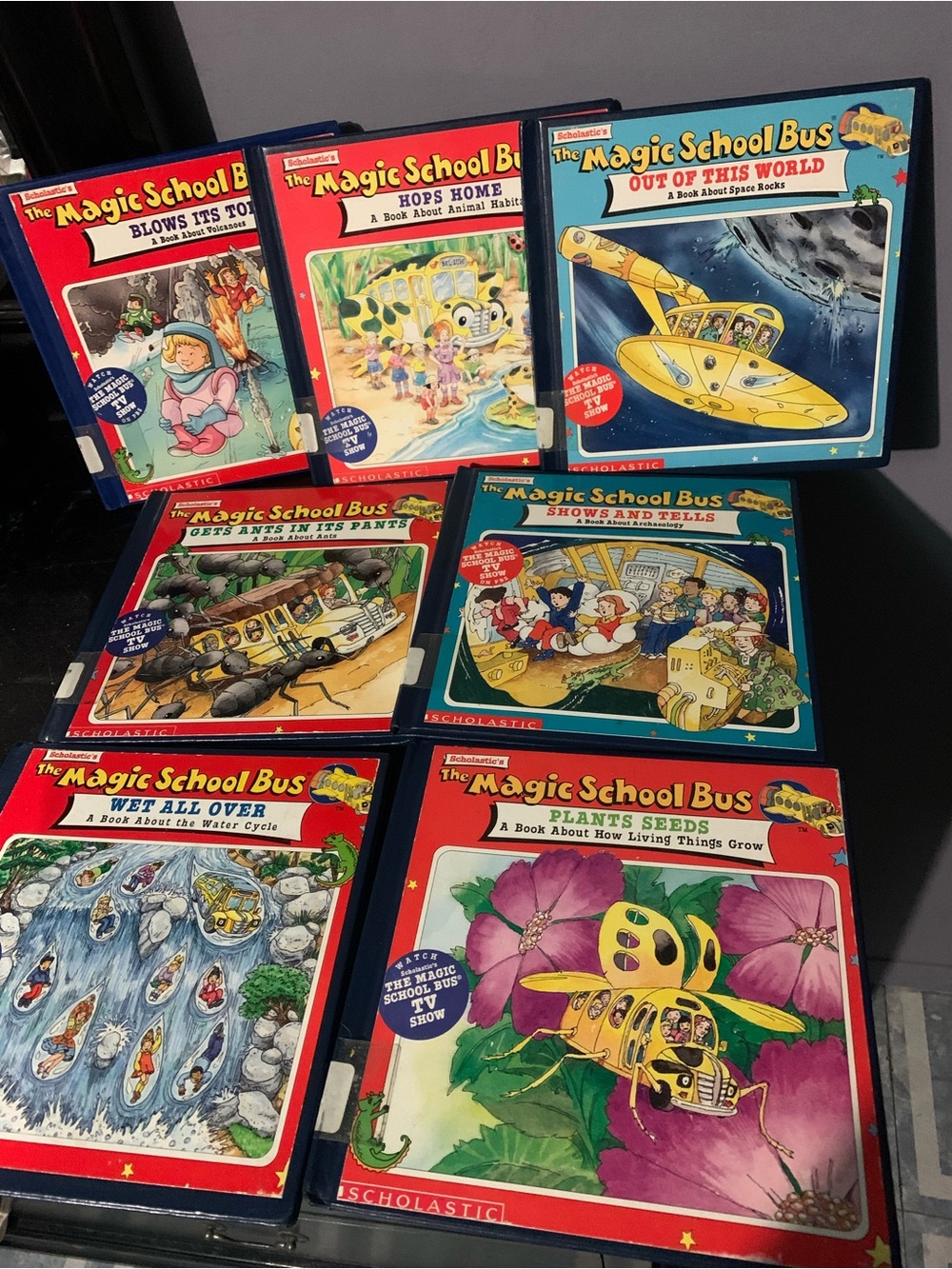 Magic School Bus Books Chapter Picture Hardcover Book Lot Of 7 Library Books
